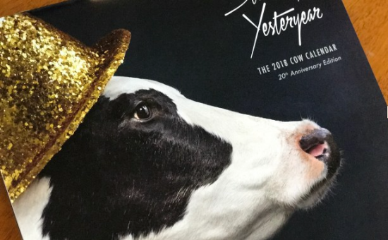 Chick-fil-A 2018 Calendar Fundraiser WE STILL HAVE THE COW CALENDARS! Get them at the WoW Merchandise Table (near the t-shirt table) $10.00 each