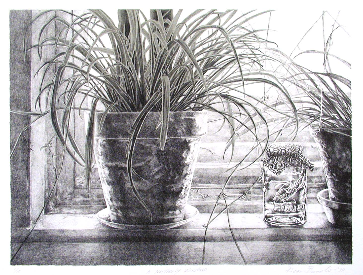  Northern Window    1999  Edition 15   16 x 12" 