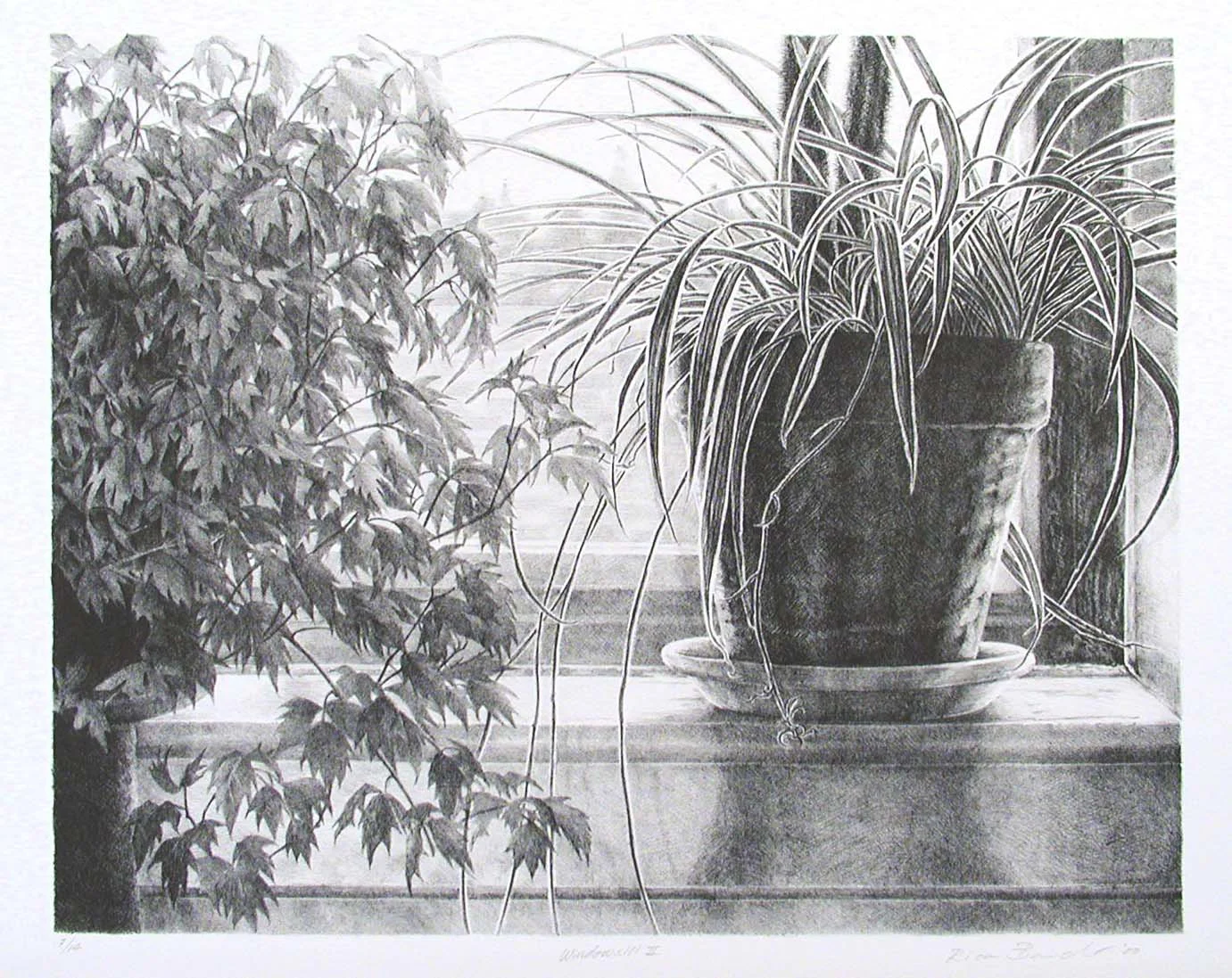  Windowsill II    2000  Edition 14  16 x 12 3/4" 