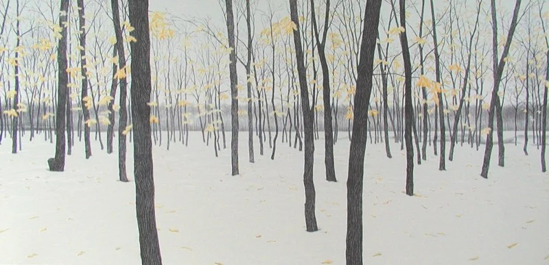Between Snow Storms