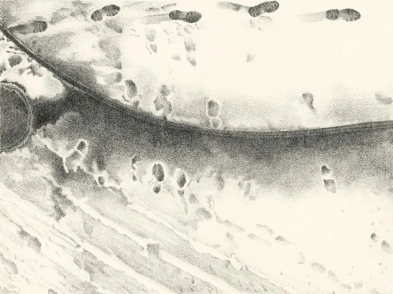 April Snow I, 2003 5 x 6 3/4"