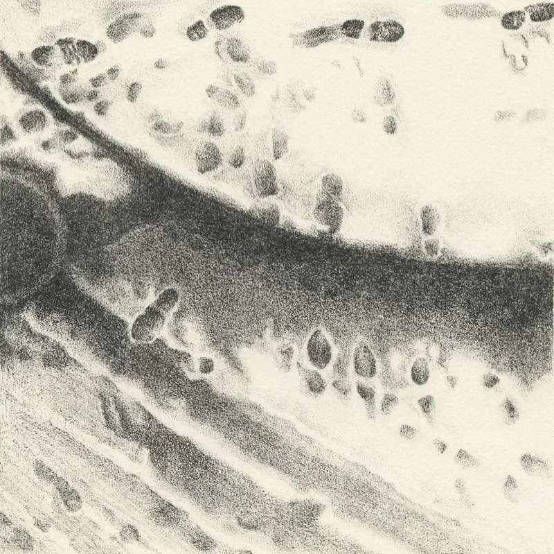 Small works012.jpg