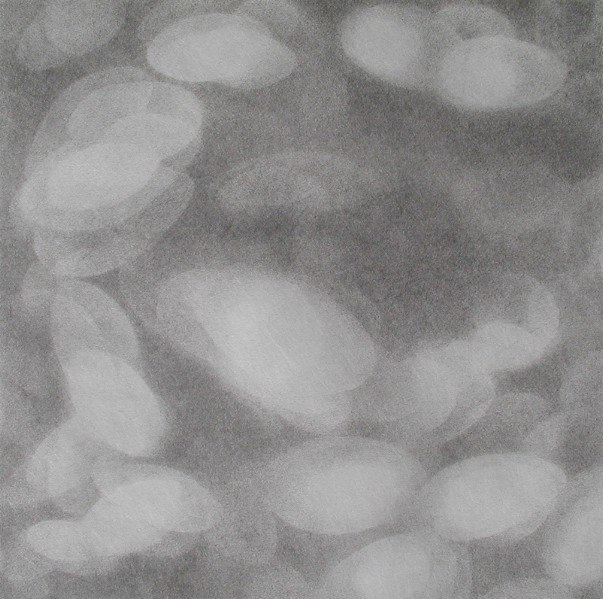 Light petal II .jpg