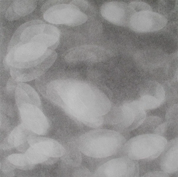 Light petal II .jpg