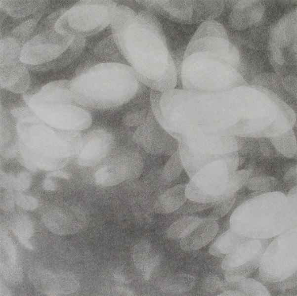 Light petal III .jpg