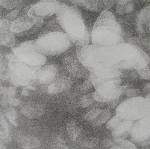 Light petal III .jpg