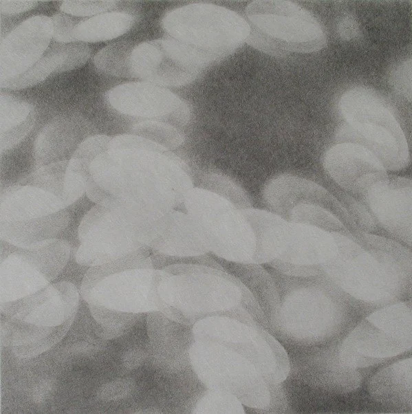 Light petal IV.jpg