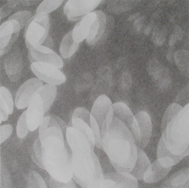 Light petal VI .jpg