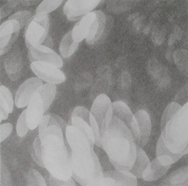 Light petal VI .jpg