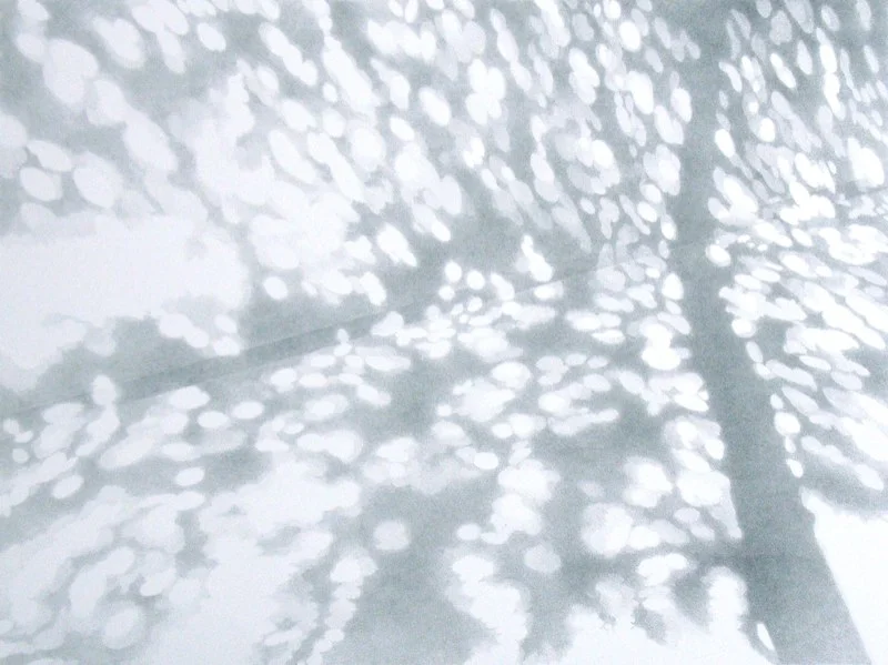 Dappled shadow