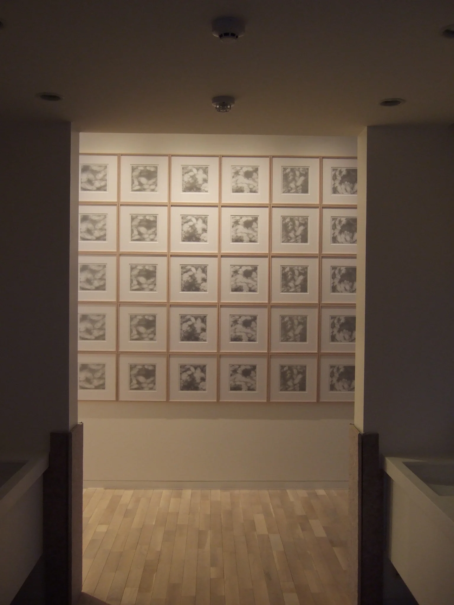 DSCF1744.jpg