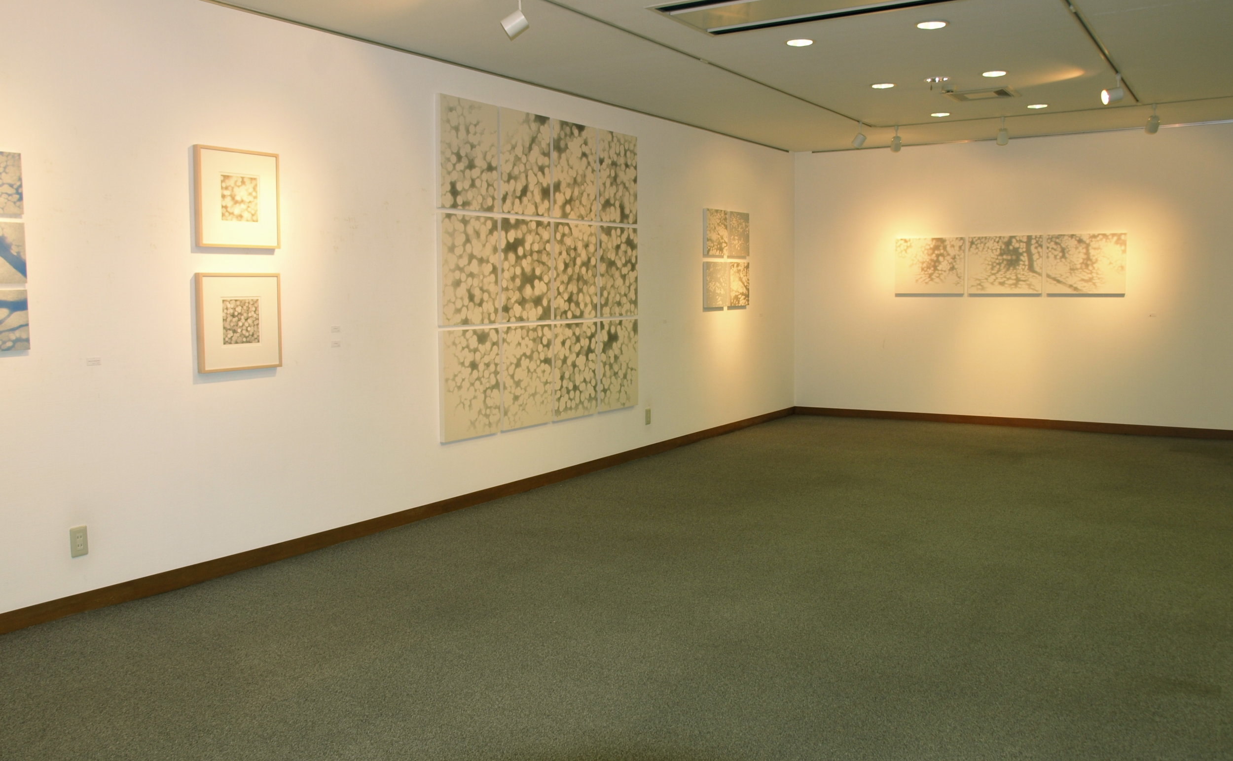 P7277667.jpg