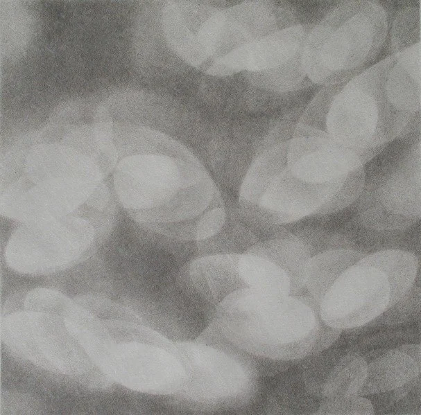 Light petal I.jpg