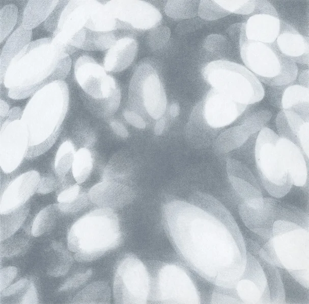 Light petals017.jpg
