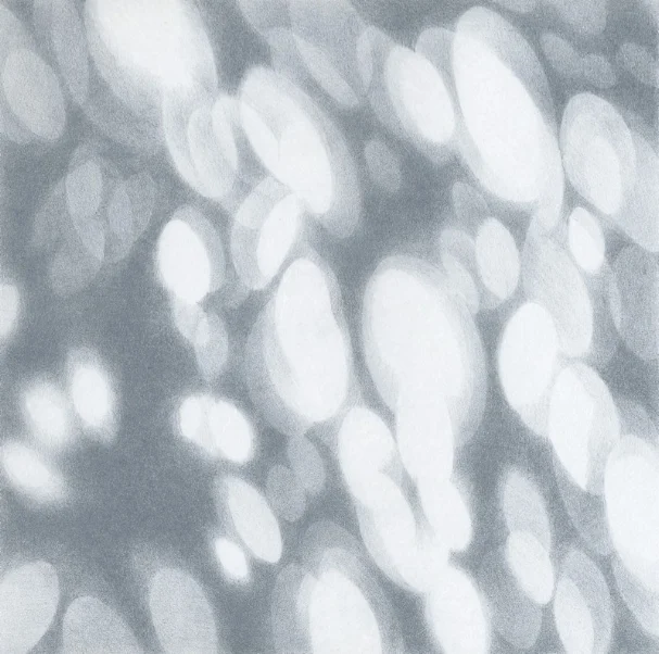 Light petals018.jpg