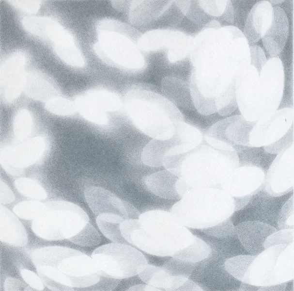 Light petals019.jpg