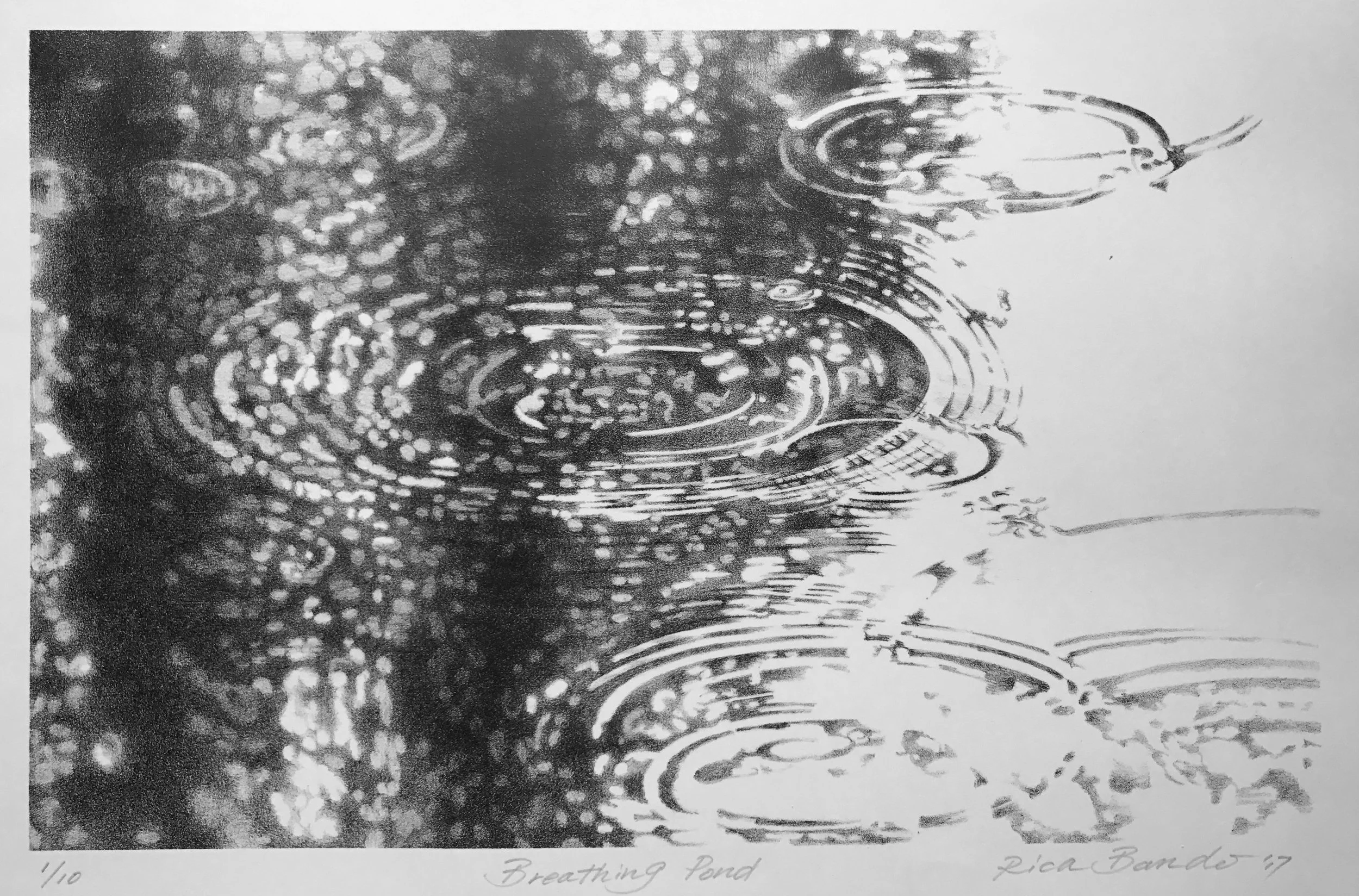 Breathing Pond