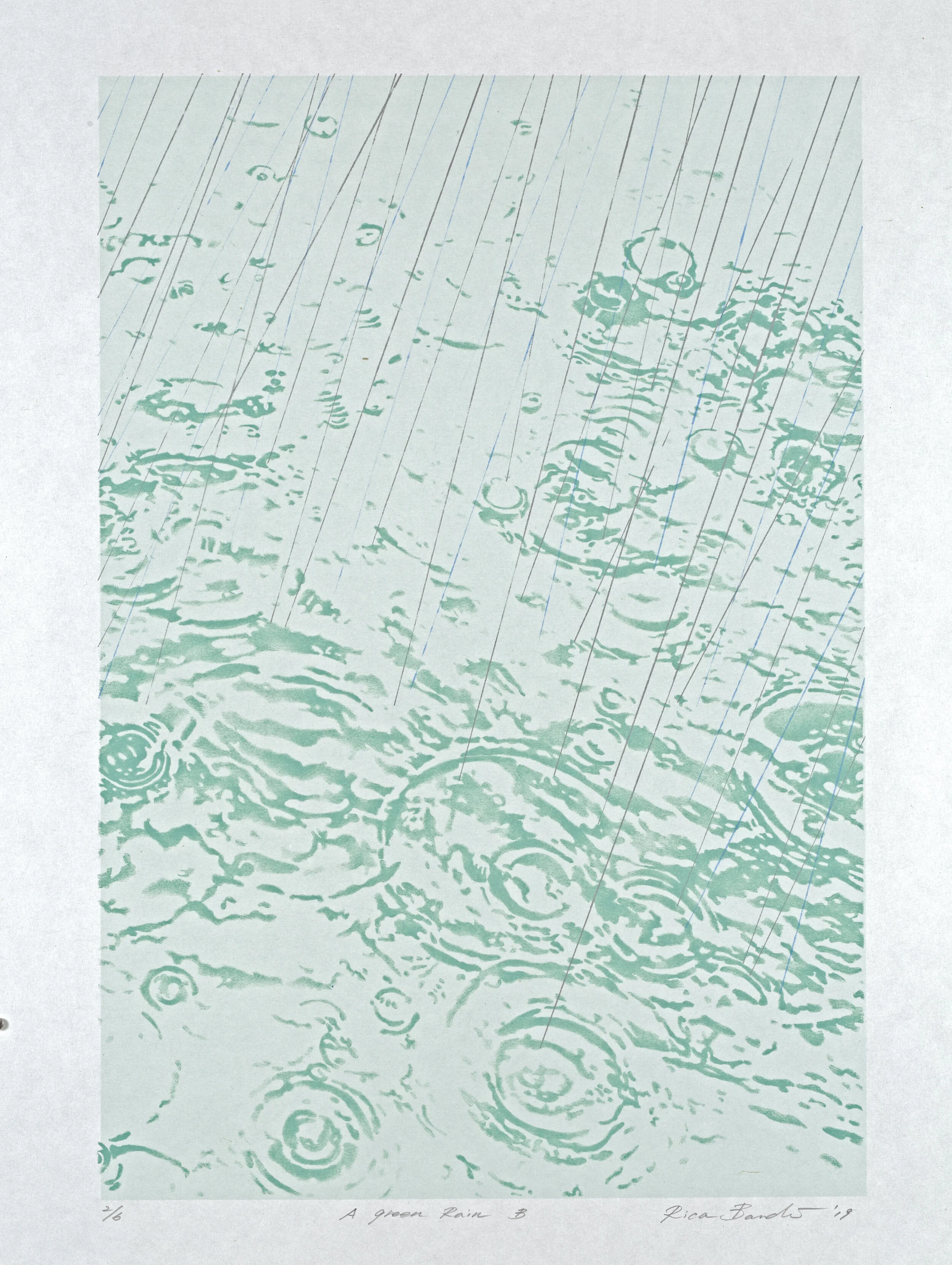  A Green Rain B  Lithograph   2019  38 x 36 cm    15 x 22 inches 