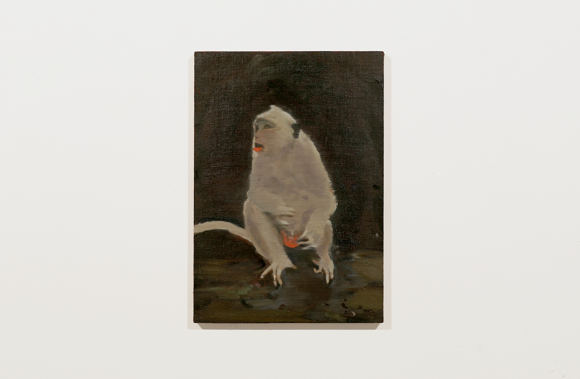  'The Year of the Flu (Macaca fascicularis)' 2019, oil on linen. 