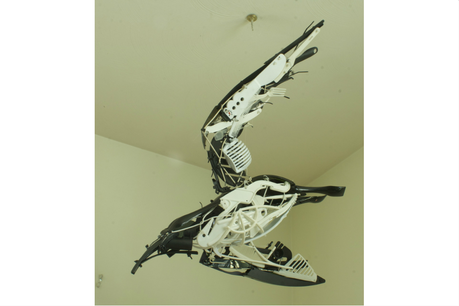 bird.png
