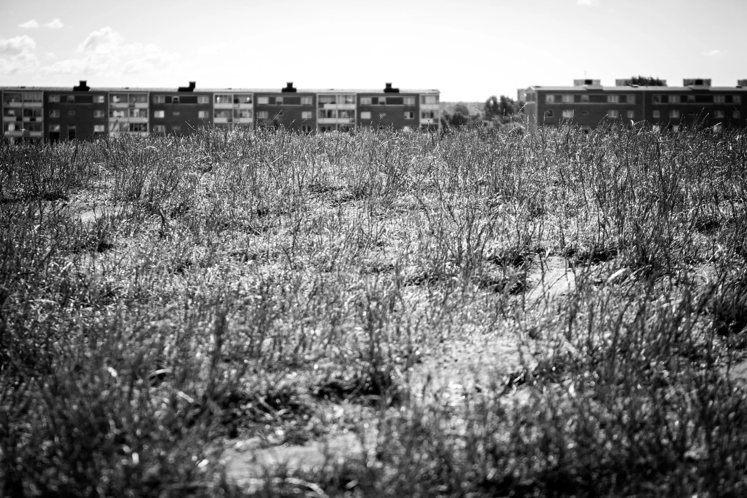 Malmö som det inte längre var