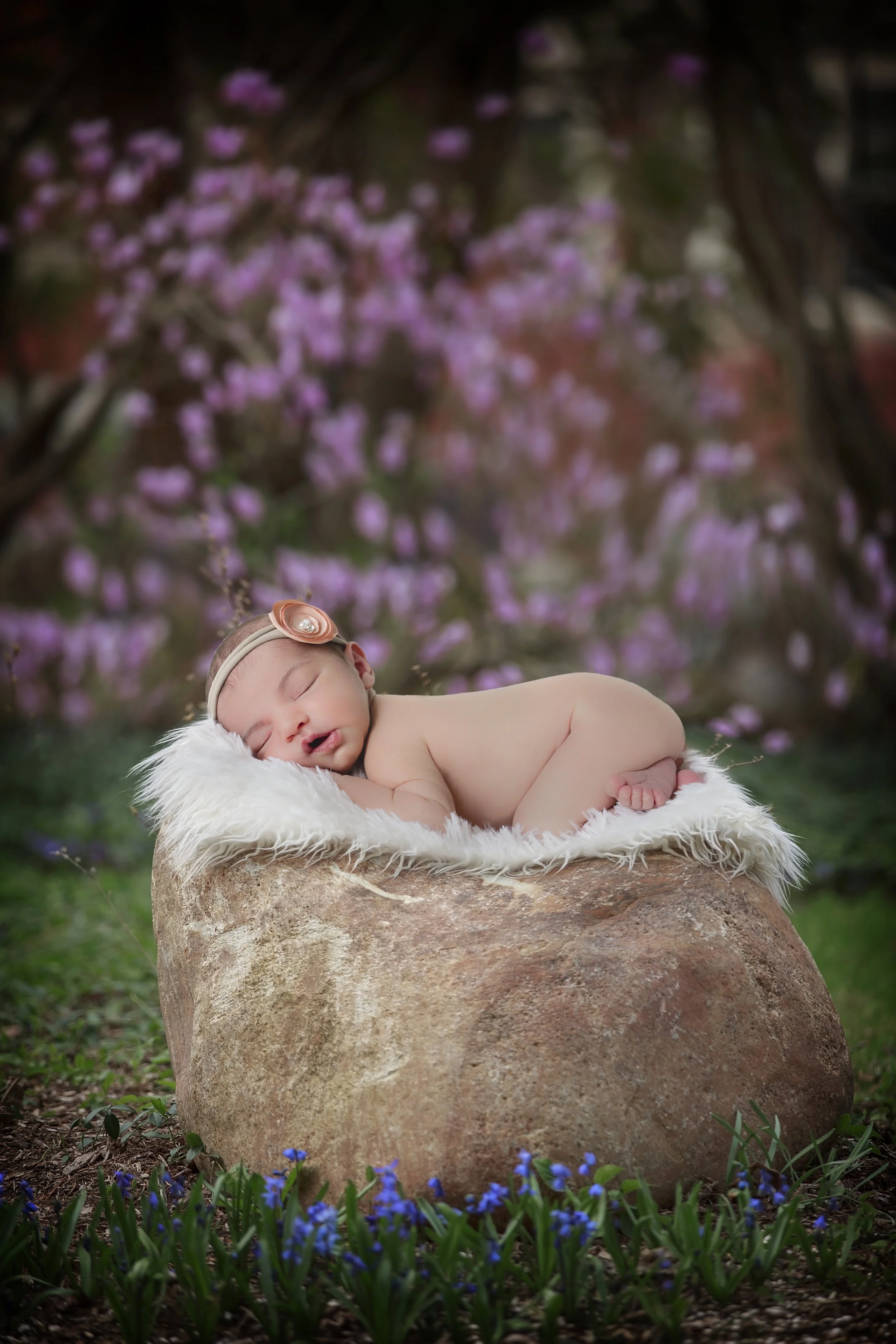 BabyBlakely_Composite4.jpg