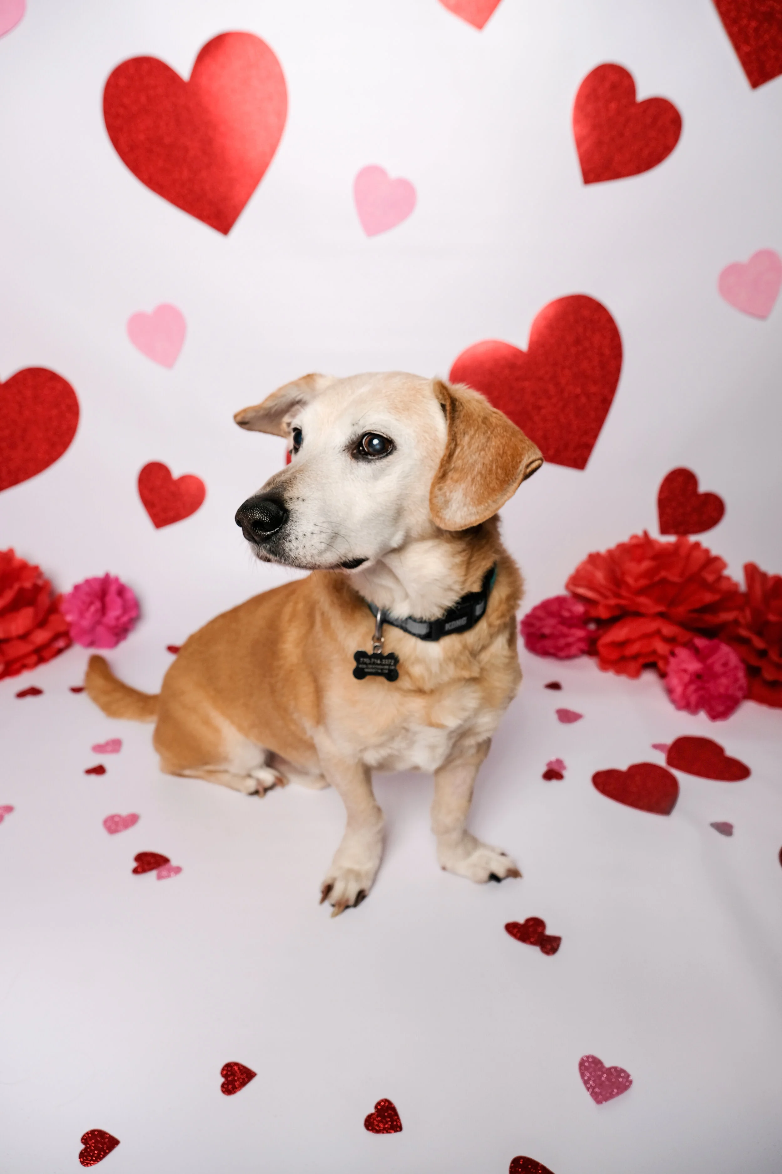 2019_VDayStudio-10.jpg