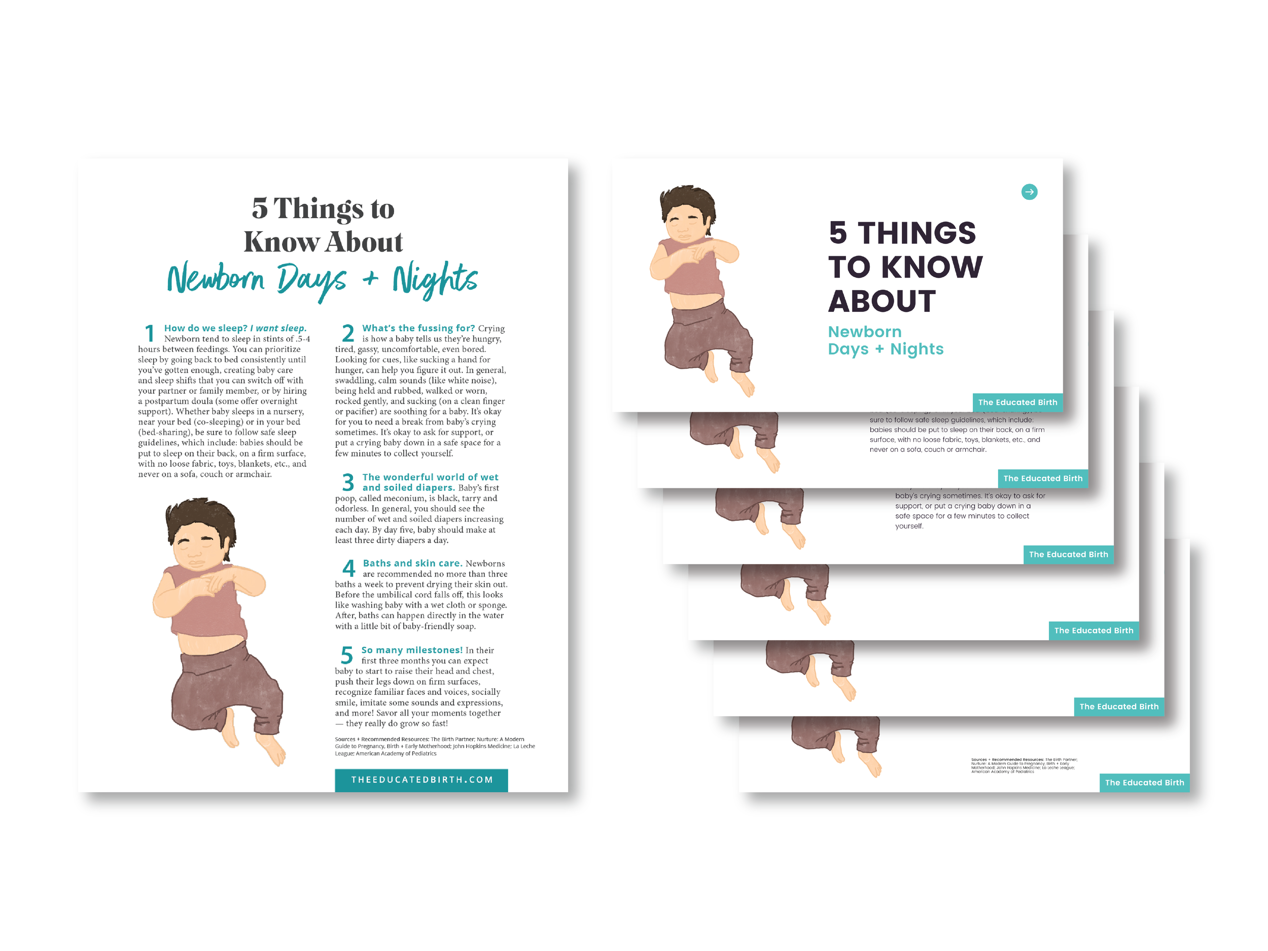 Infographics — The Educated Birth