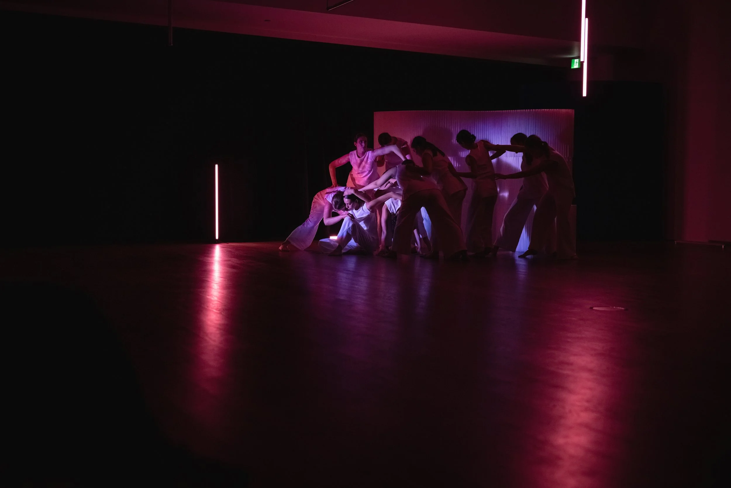 20250130-205929-FE8.jpg