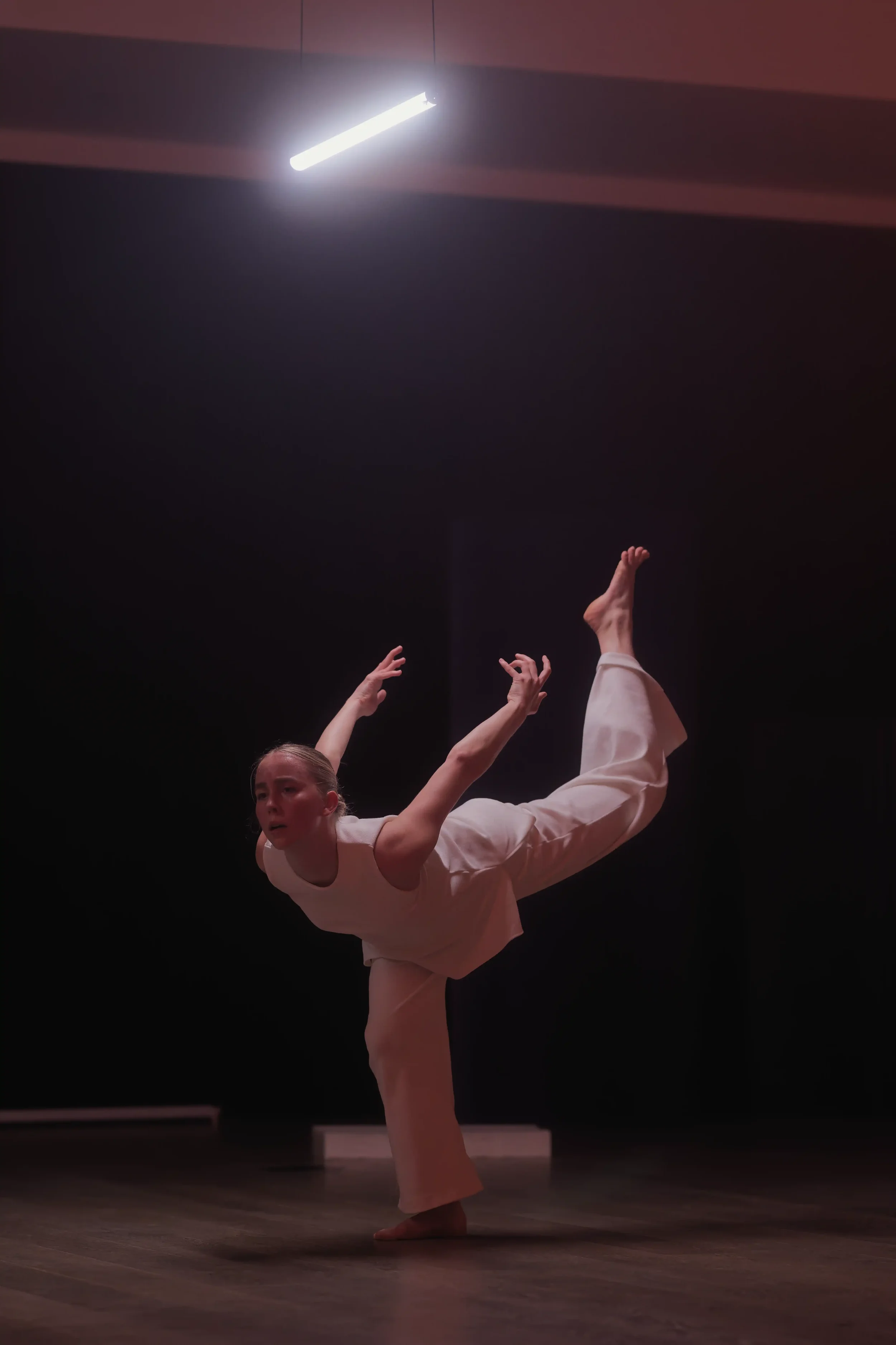 20260129-212517-FE8.webp