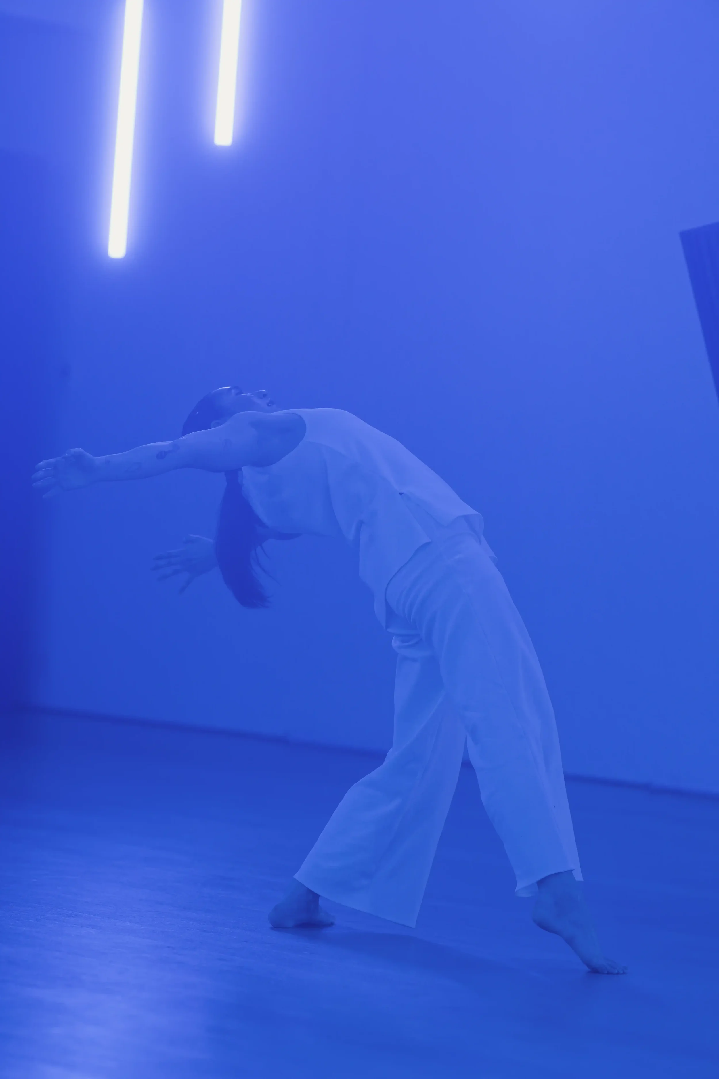 20260129-213249-FE8-2.webp