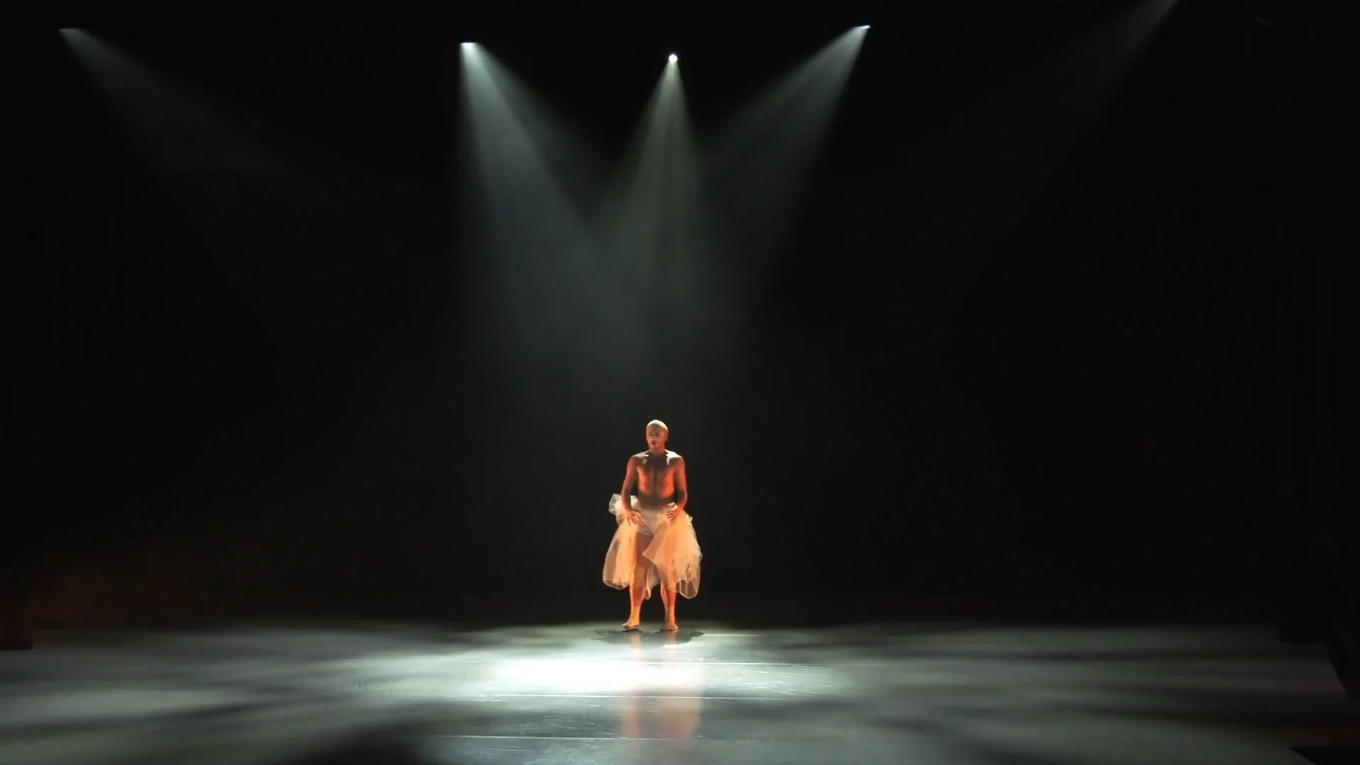 A Solo For Orpheus // Light In The Rafters