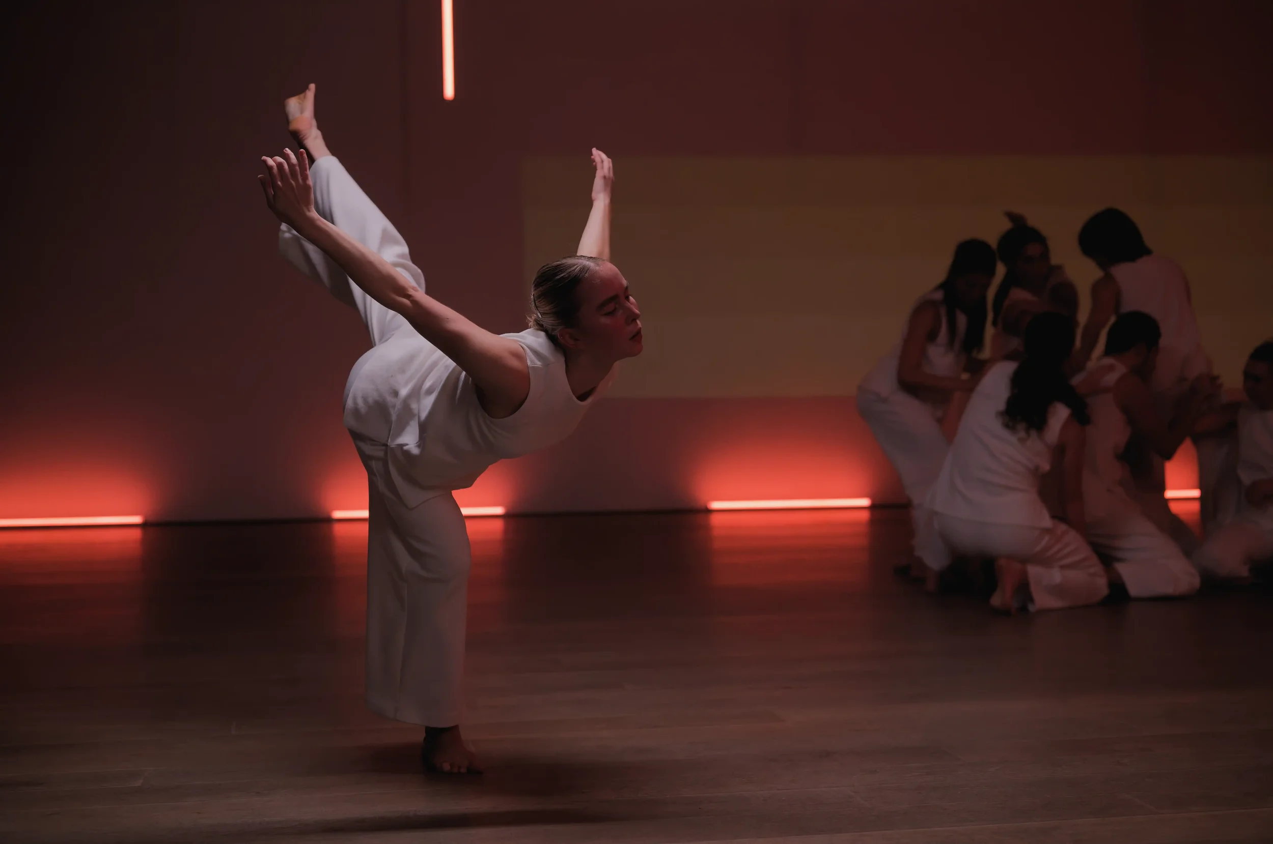20260129-195257-FE8-2.webp