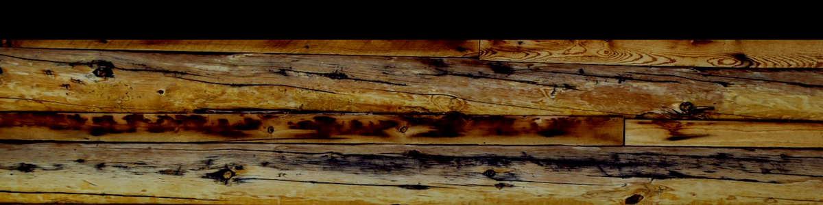 Website Banner copy 4.png
