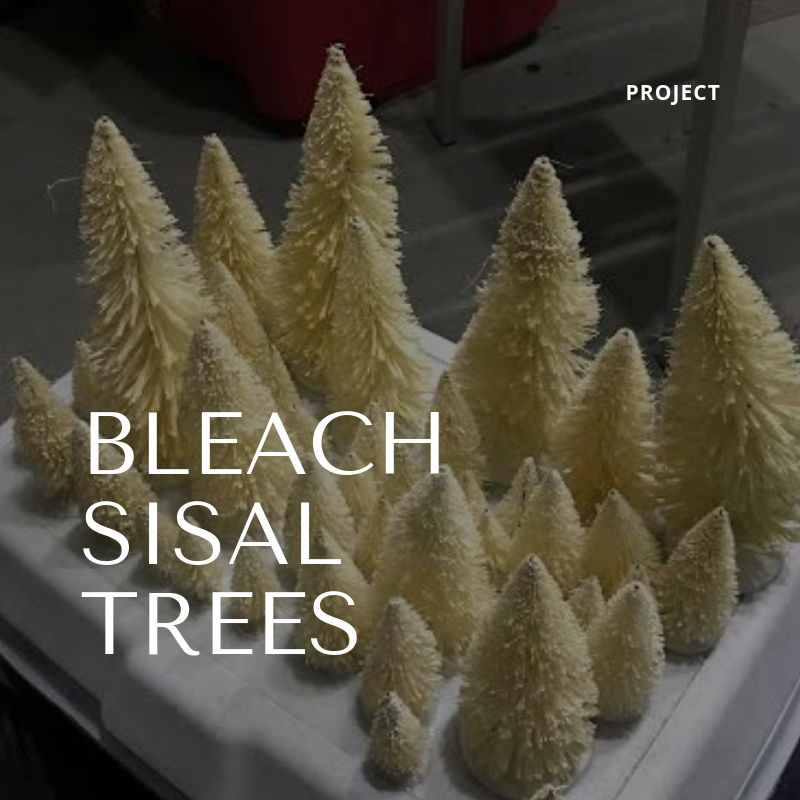 Bleaching Sisal Trees
