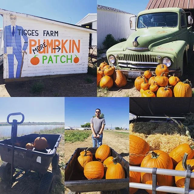 Pumpkin Day is FINALLY here! #tiggesfarms #pumpkinpatch #happyfall