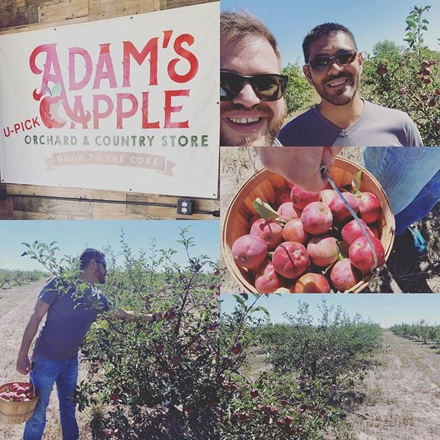 Apple Pickin! #adamsappleorchardandcountrystore #agritourism #doingallthingsfall #fallonthefrontrange