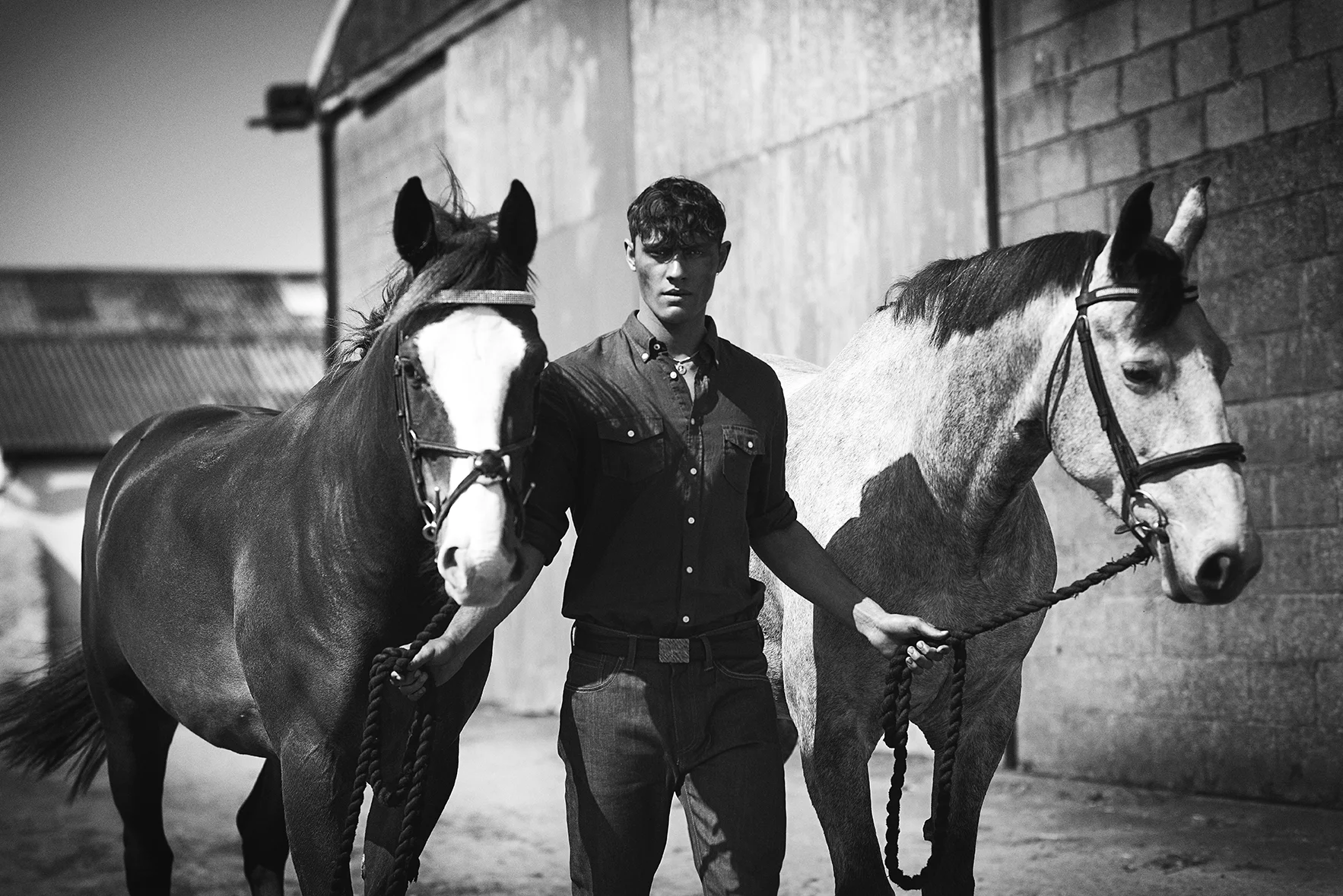 Amar Daved Hunger