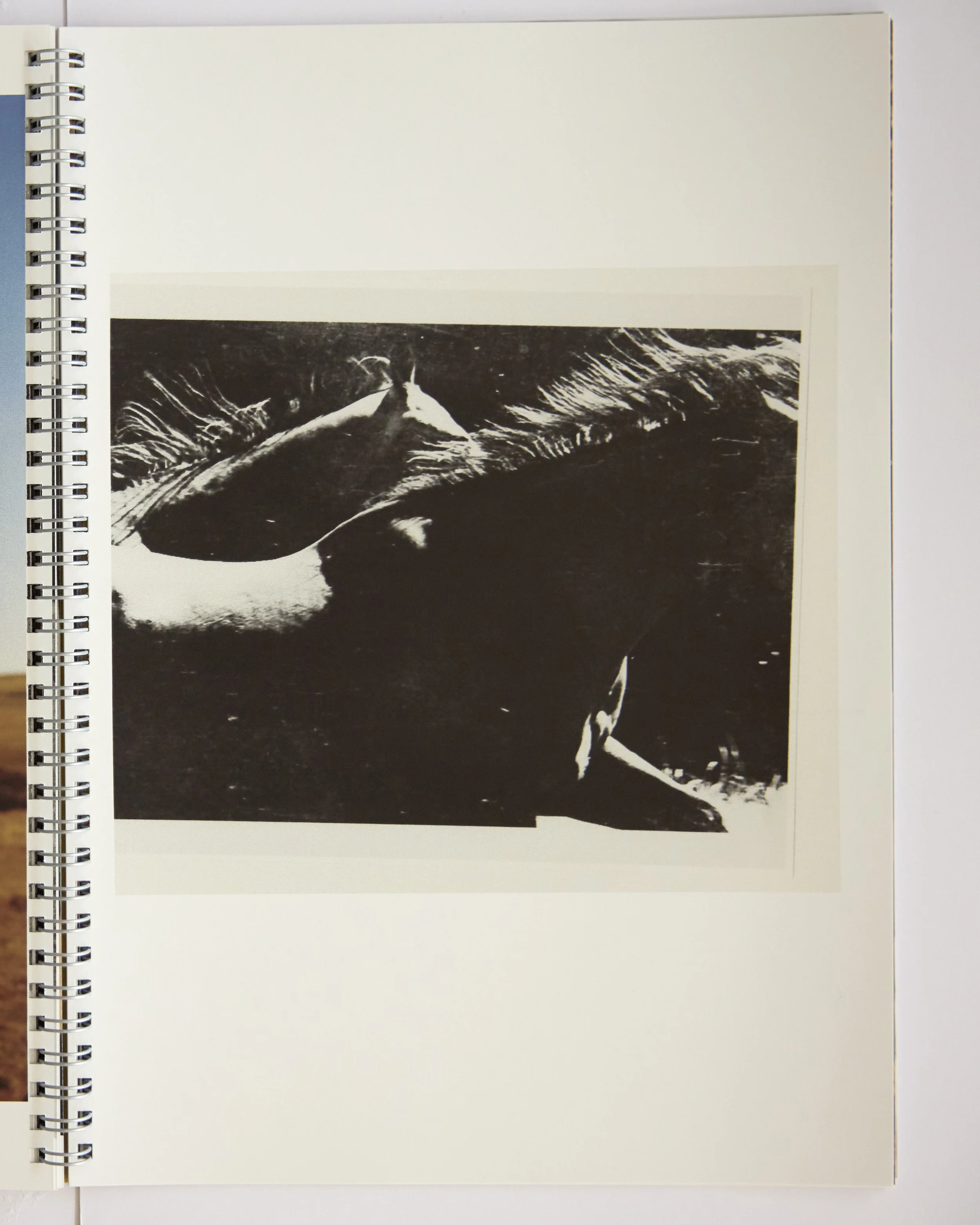 Untitled Session1808 1.jpg