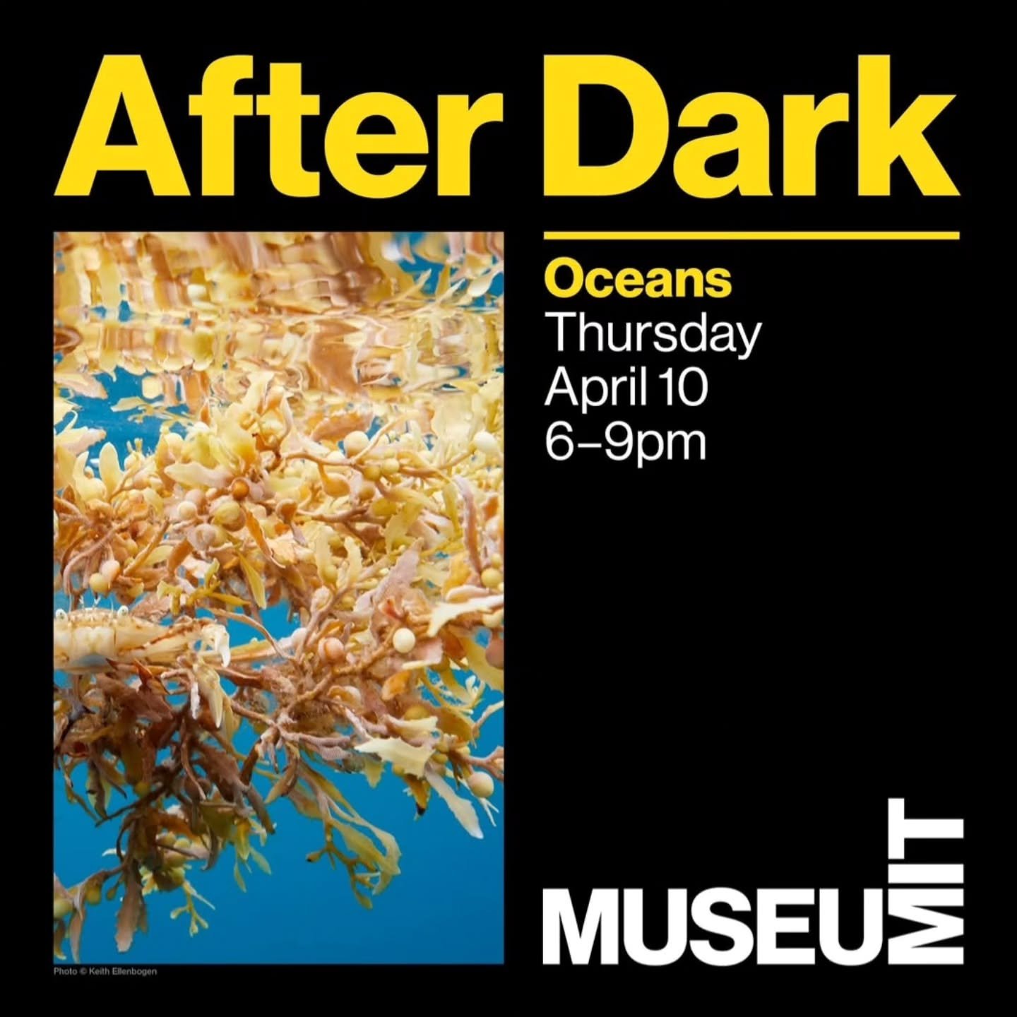 Enjoy a Small Change beer at the MIT Museum on Thursday!

Dive into the world of oceans at our April After Dark as we unravel the mysteries of the deep sea and explore the great unknown. 🐟

🪸Join artist Keith Ellenbogen for an extraordinary journey