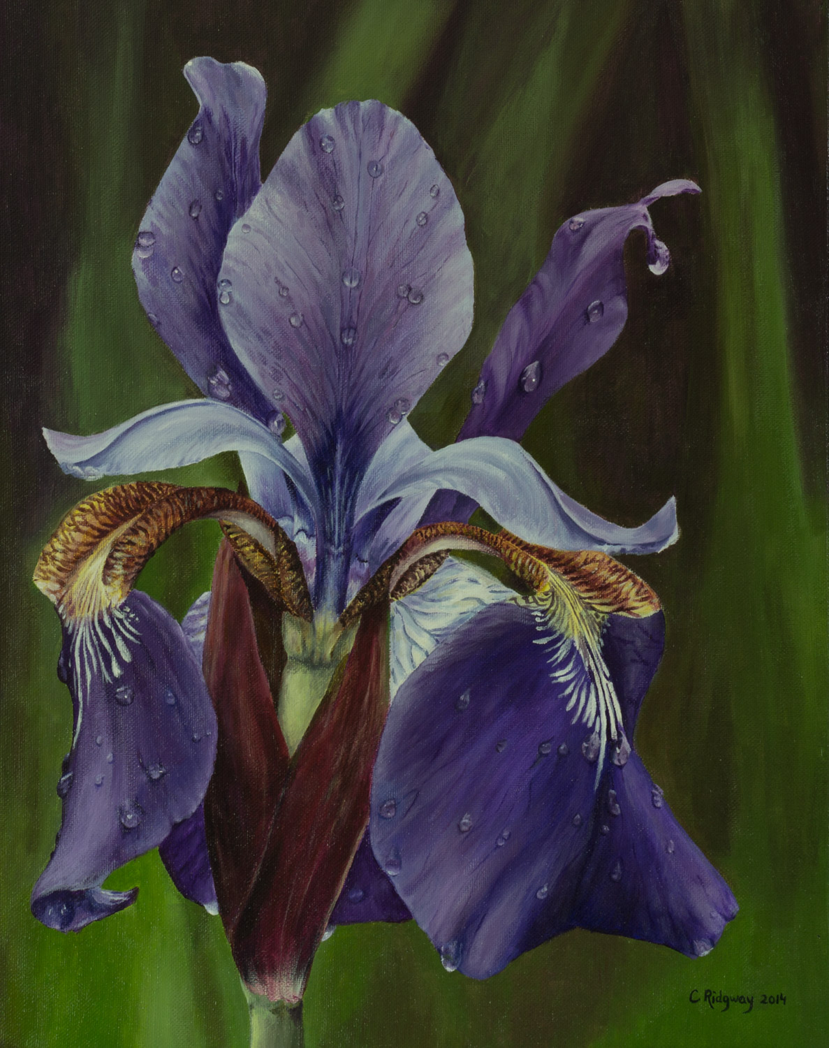 Purple Iris (2014)