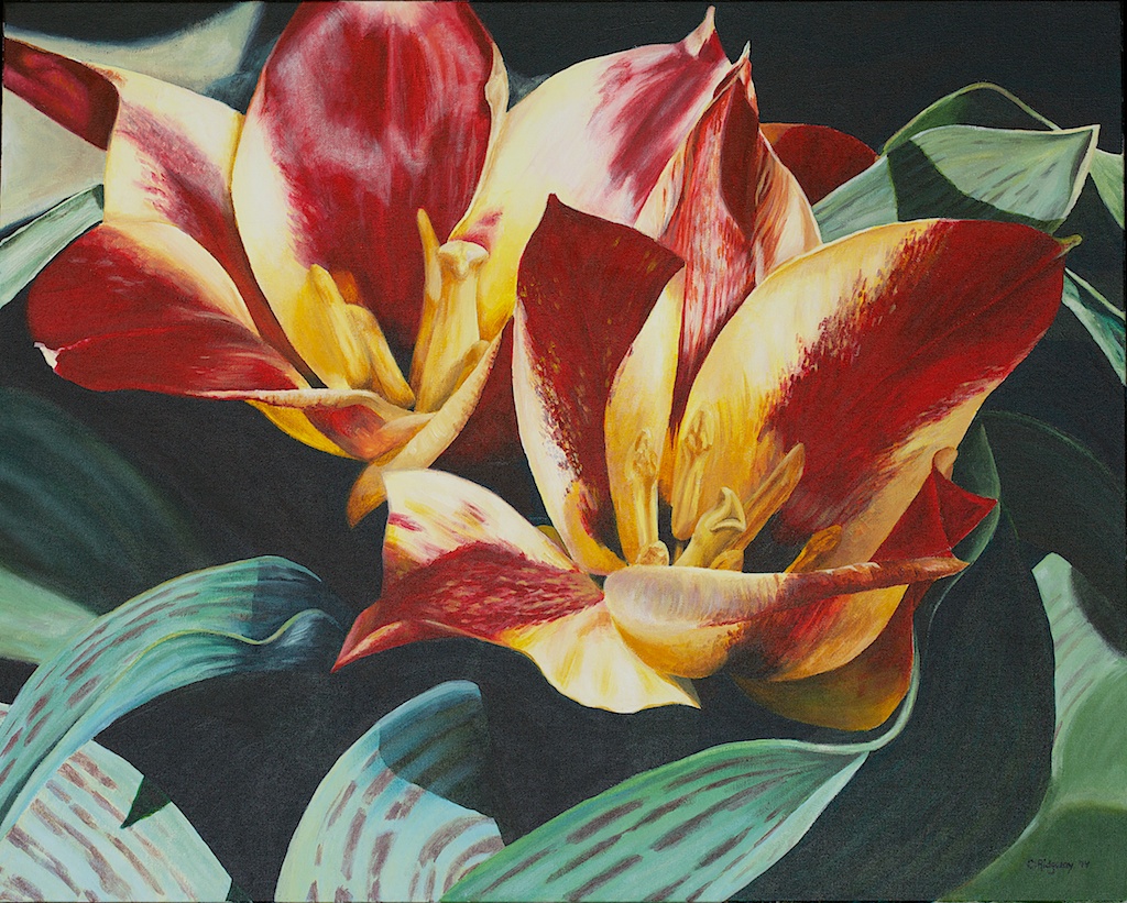 Red and Yellow Tulips (2014)