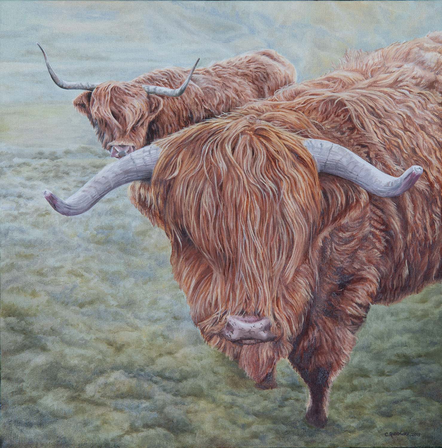 Highland Cows, Isle of Skye (2019)