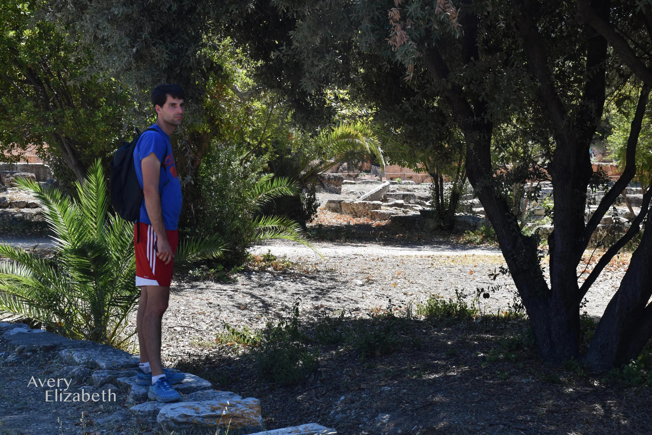 DSC_0342 2.jpg