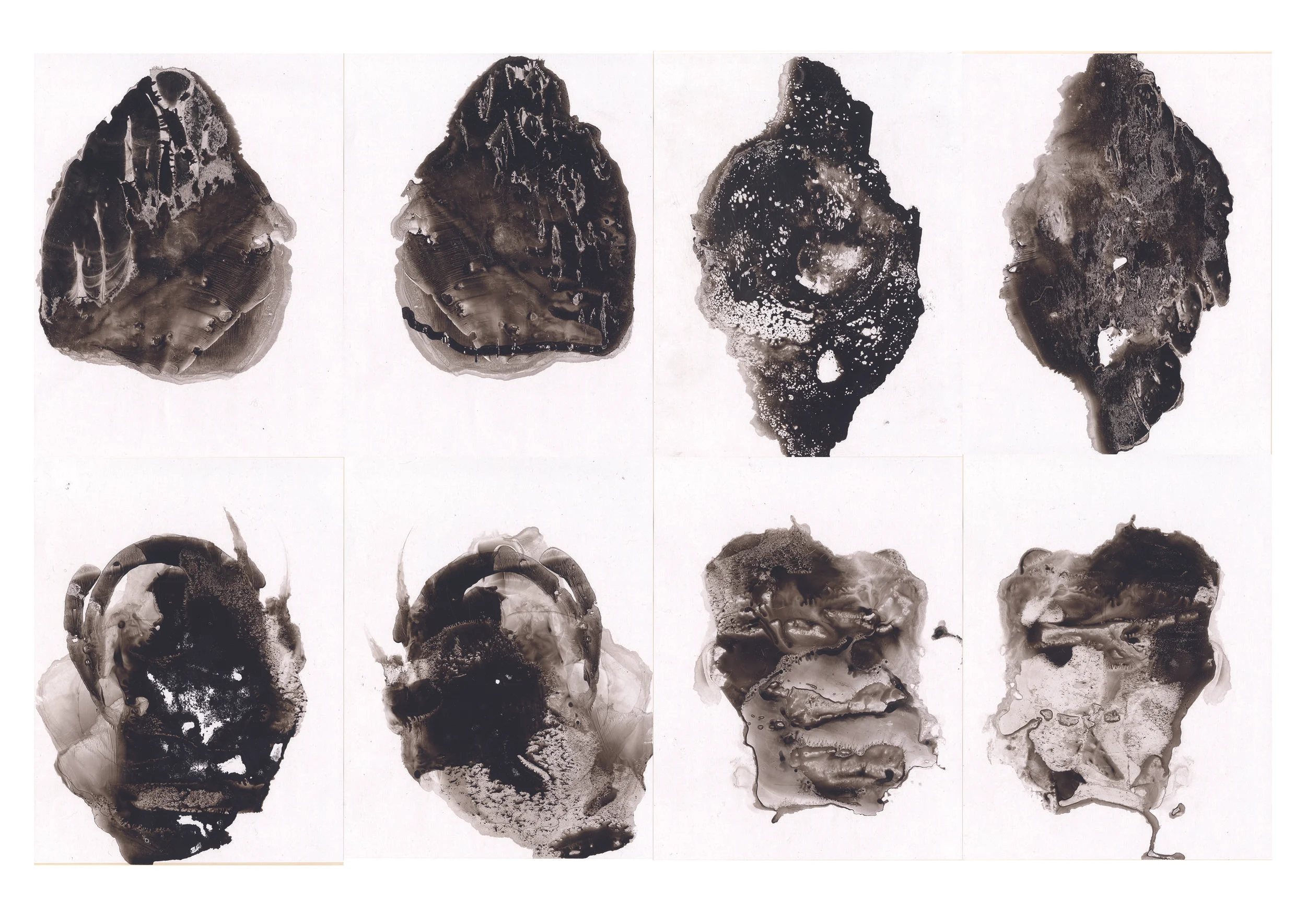 studies in ink