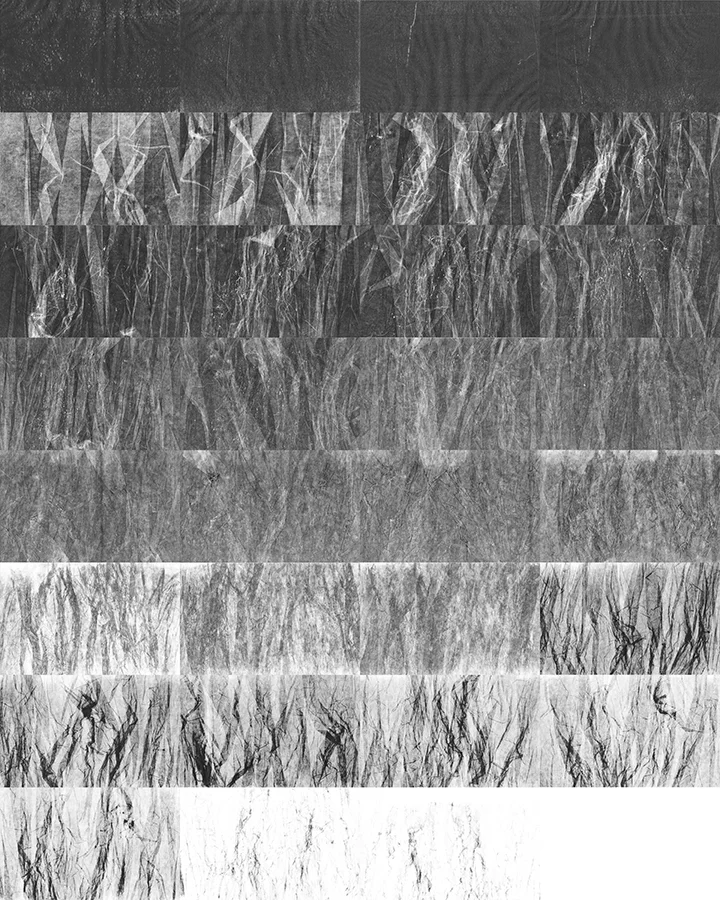 Book of Wear (pages)