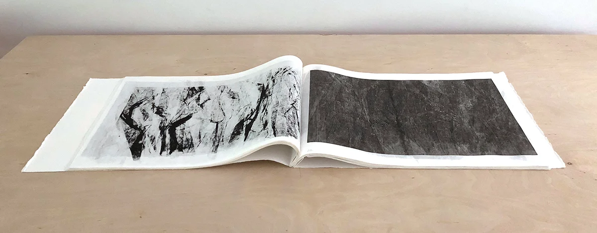 Book of Wear