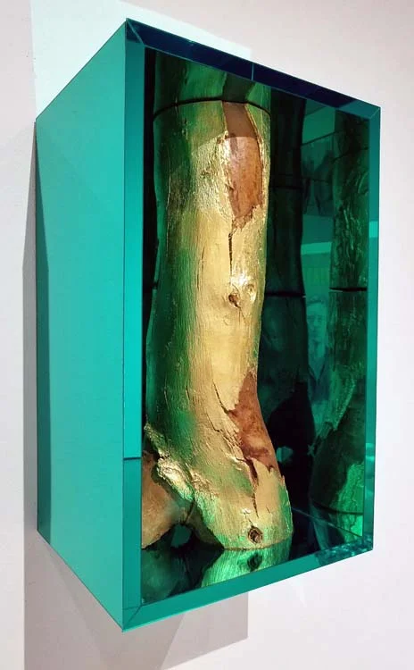 Kellan Barnebey King. Beautiful Parts. CSUN Art Gallery. Photo Credit Kristine Schomaker