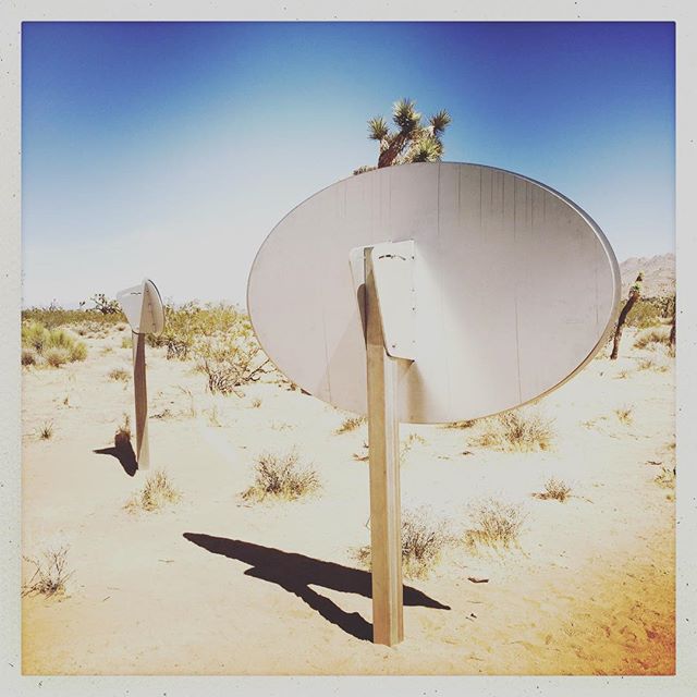 B Side of Sarah Vanderlip&rsquo;s &ldquo;Untitled (Double Ellipses), 2018&rdquo; #sarahvanderlip #sitespecificinstallation #roughplayprojects #joshuatree #doubleellipses @sugarjarvacancy