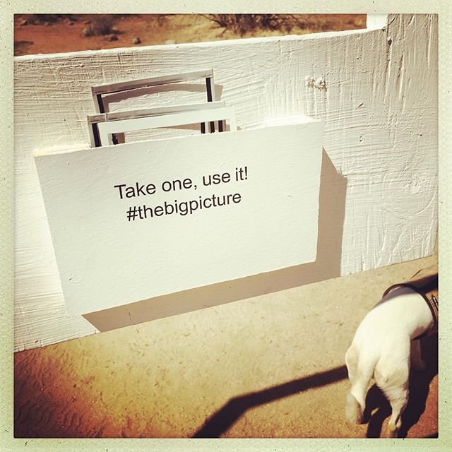 Happy Mothers Day! #roughplayprojects #availabletoall #joshuatree Take one, use it! #thebigpicture @instantdreams